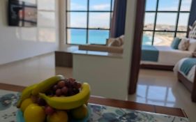 Newcenter Suites